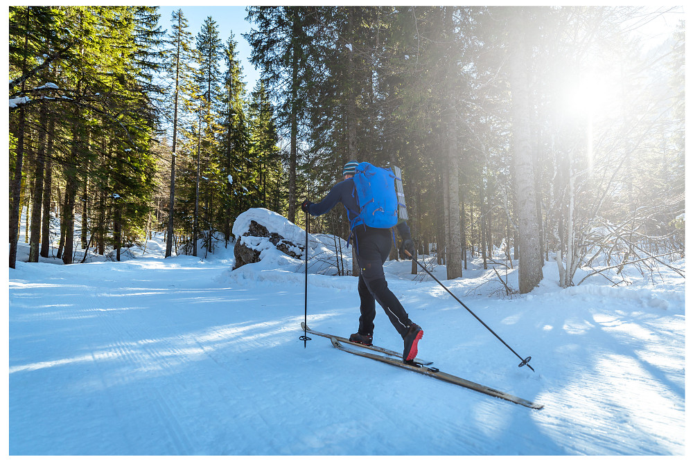 PI PRO  - Backcountry
