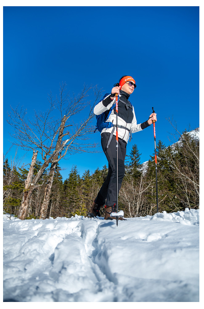 DI FREE  - Backcountry